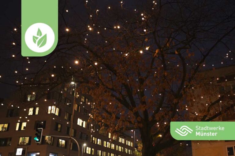 Münster leuchtet weihnachtlich